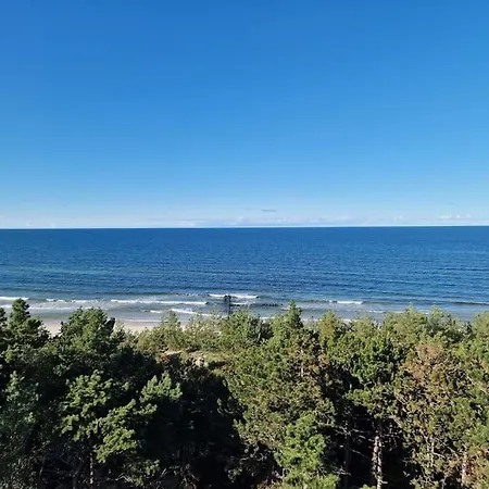 Shellter - Z Widokiem Na Morze Daire